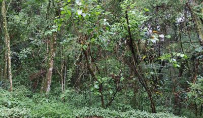 espaconamata-suite-noivo-2